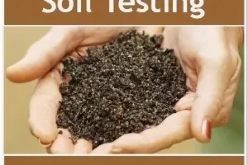 A Healthy Lawn and Garden starts with Healthy Soil