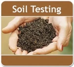 A Healthy Lawn and Garden starts with Healthy Soil