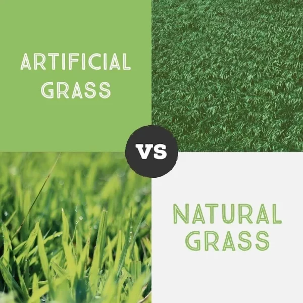 Do you Really want Artificial Grass? Pro and Cons Clean Cut Landscape Co.
