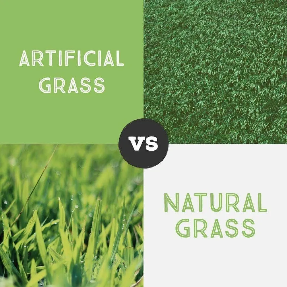 Do you Really want Artificial Grass? Pro and Cons