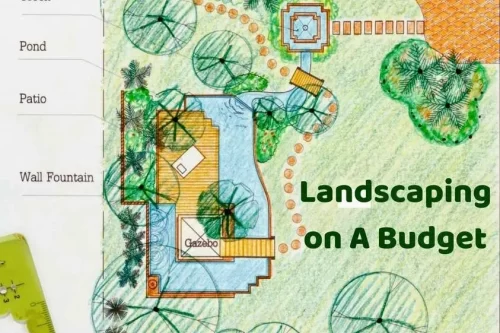How Much Does Landscaping Cost In Metairie and New Orleans?