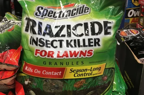 What to do to Control Lawn Insects destroying my grass