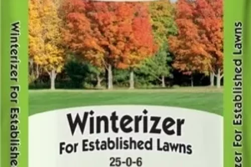 Winter Fertilizer to make Grass roots Healthy