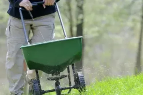 Fertilizing Schedule For Lawns and Gardens Metairie