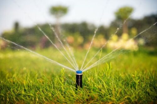 Watering Instructions for New Installations of Sod and Landscaping