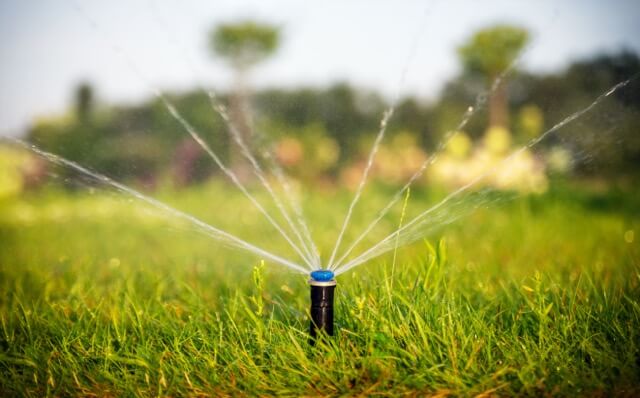 The Best Time to Water Your Lawn and Landscaping for Maximum Results