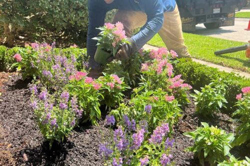 Benefits of Professional Landscaping Services