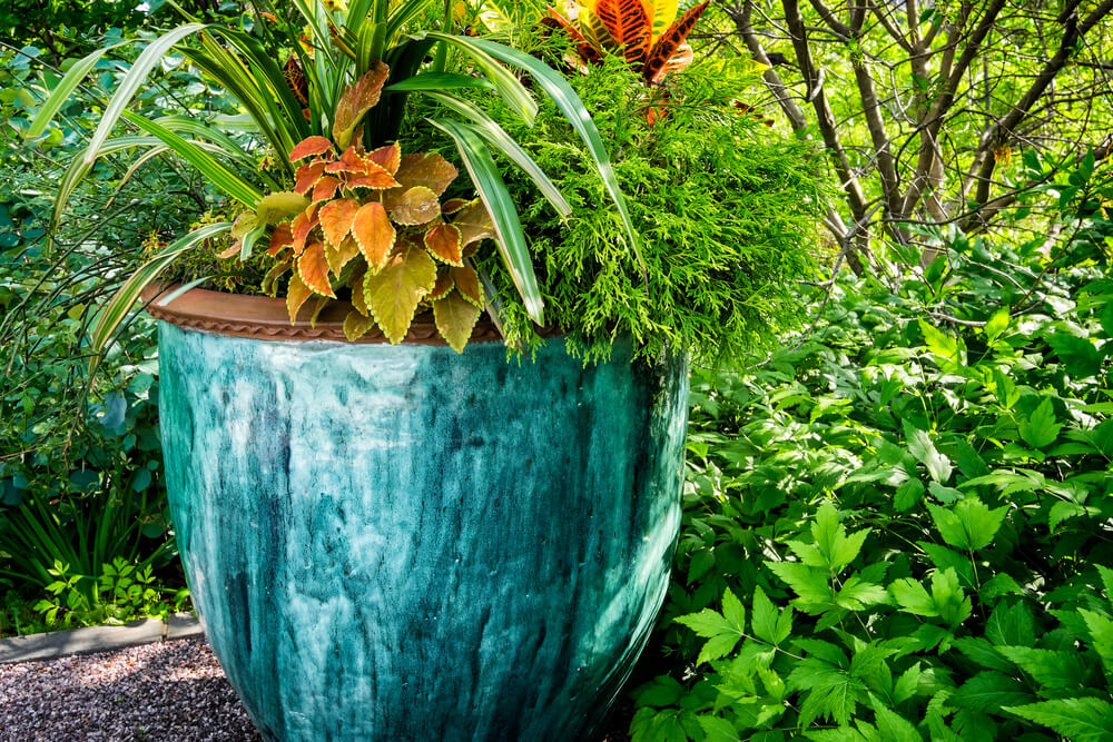 Essential Tips and Techniques for Planting in Pots