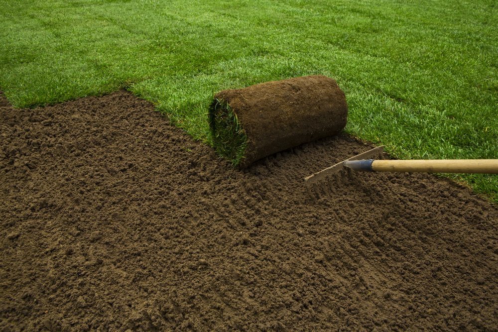 Sod Installation: Tips and Techniques