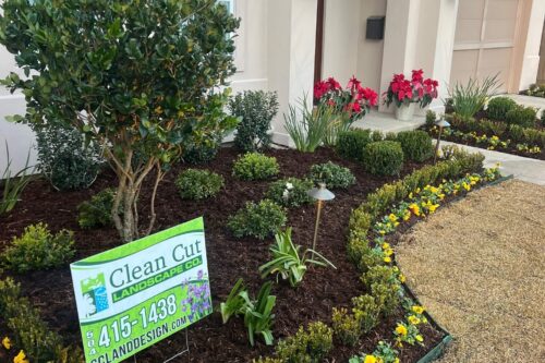 Landscaping New Orleans: Transform Your Outdoor Space