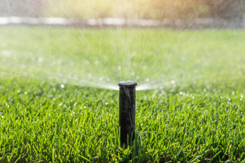 New Lawn and Landscape Watering Guide
