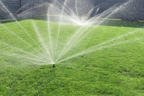 The Importance of Irrigation Systems in Your Yard