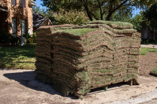 Zoysia Sod Installation in Kenner, LA: Why We Recommend New Sod for a Cleaner, Healthier Yard
