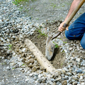 yard drainage - french drain