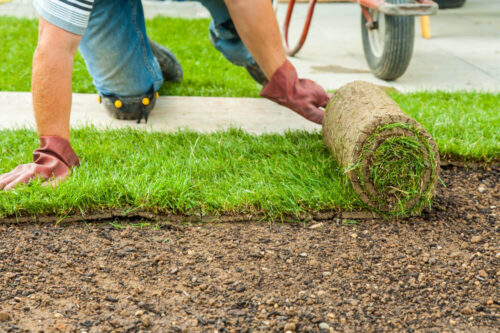 Sod Layers Near Me: Professional Sod Installation Services