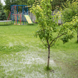 yard drainage system