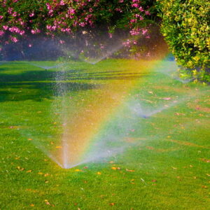 clean cut landscape - sprinkler systems