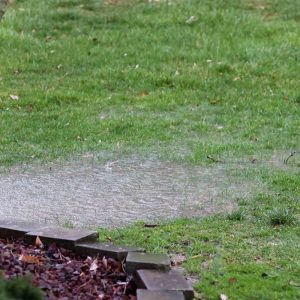 cleancut landscape co