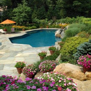 cleancut landscape co