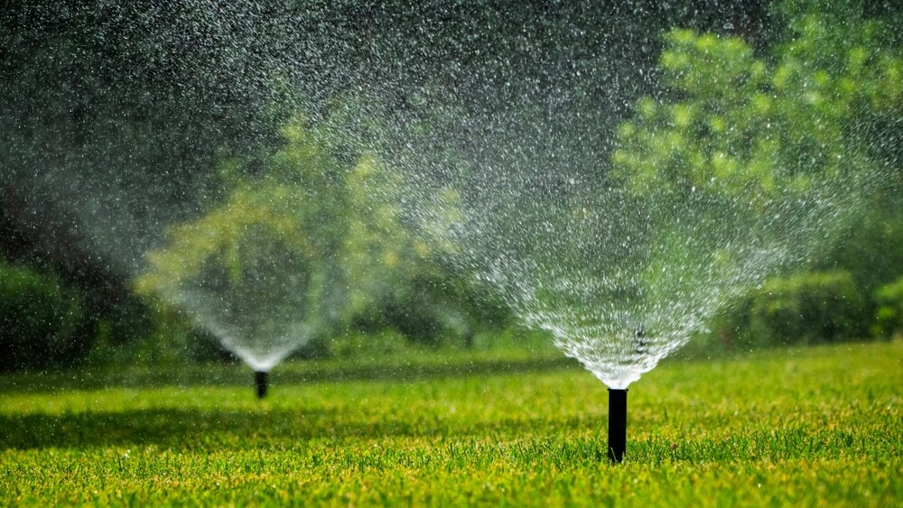 Why Your New Orleans Lawn Needs Professional Irrigation