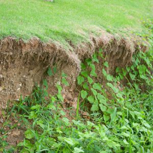 soil erosion