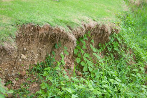 Storm Landscaping Protects Louisiana Yards from Erosion