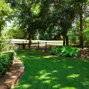 shade garden