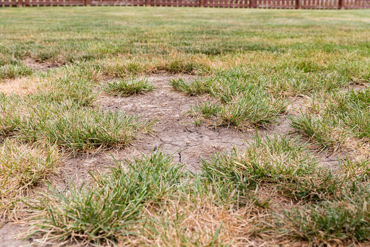 soil erosion - Storm Landscaping