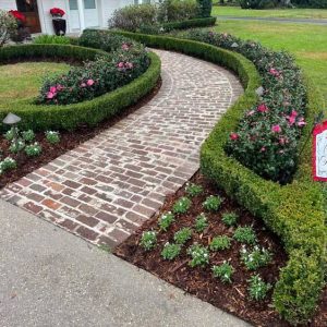 Metairie Landscaping