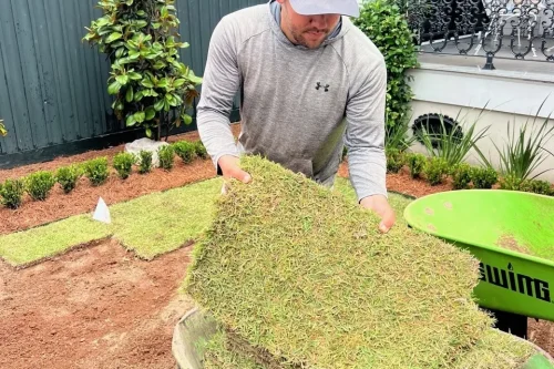What to Expect During Sod Installation