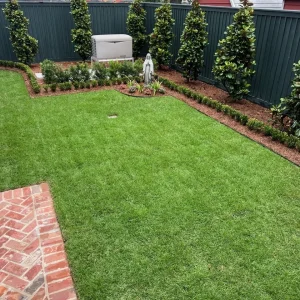 Old Metairie Backyard