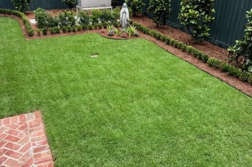 Zoysia vs. St. Augustine Sod in Metairie: Which Lawn Makes More Sense for Your Yard?