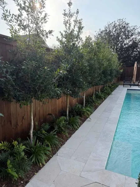 Clean Cut Landscape Co