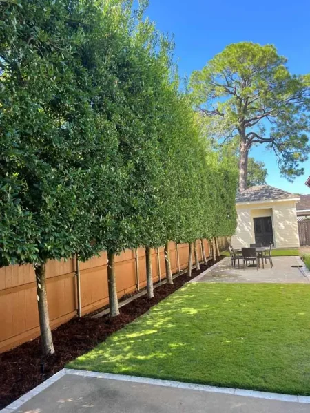 Clean Cut Landscape Co