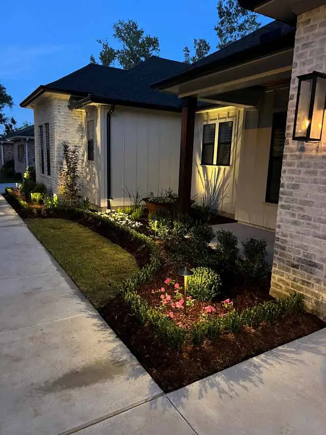 Steel Edging for Garden Borders: Why We Recommend It for Metairie Landscapes