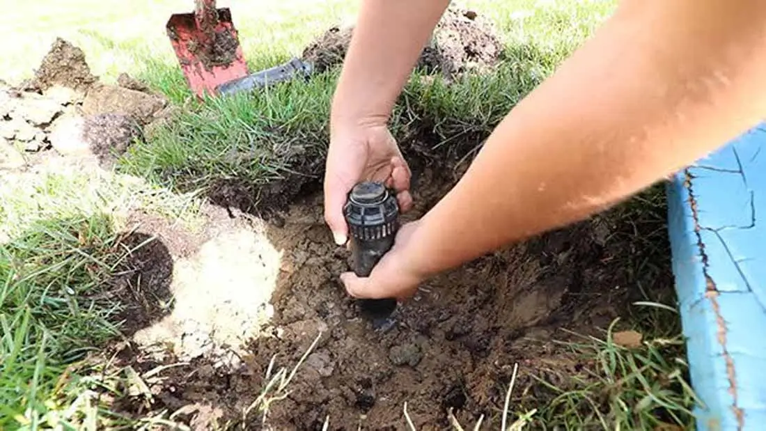 Sprinkler head replacement in lawn