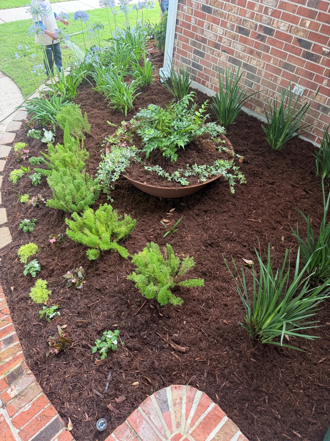 Metairie frontyard transformation