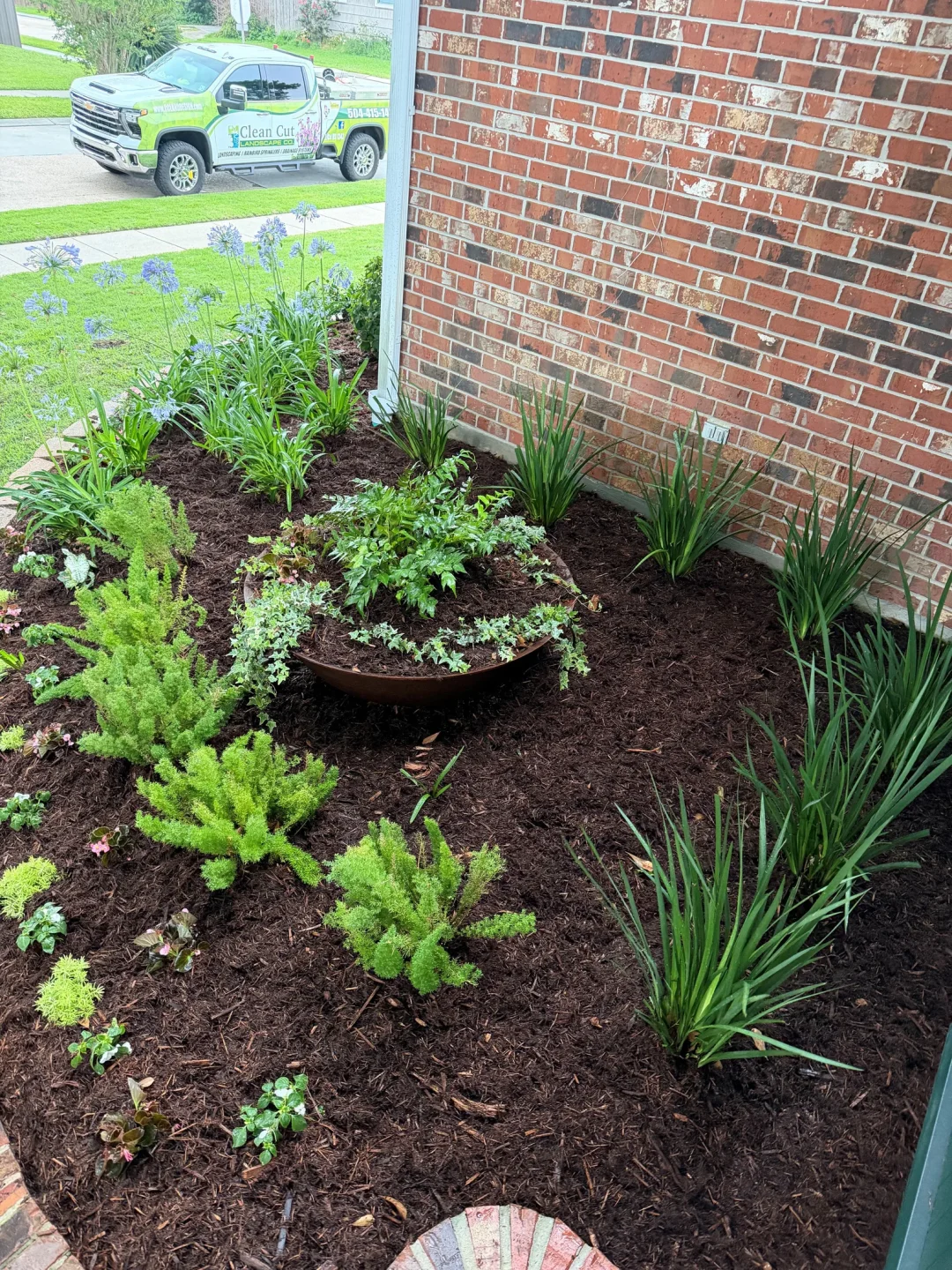 Metairie frontyard transformation