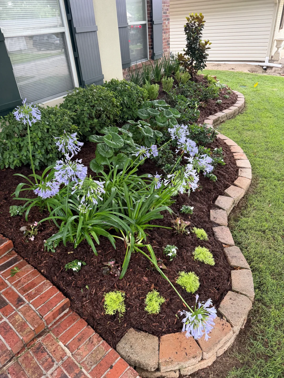 Metairie frontyard transformation