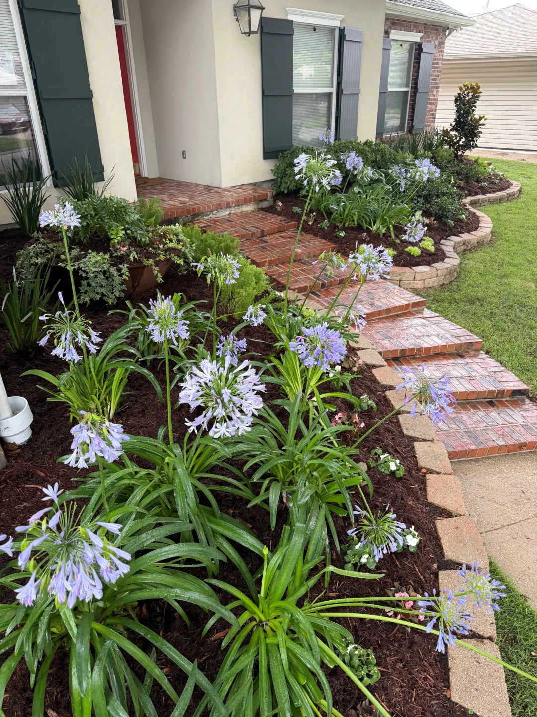 Metairie frontyard transformation