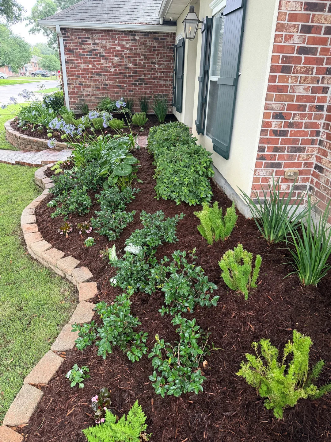 Metairie frontyard transformation