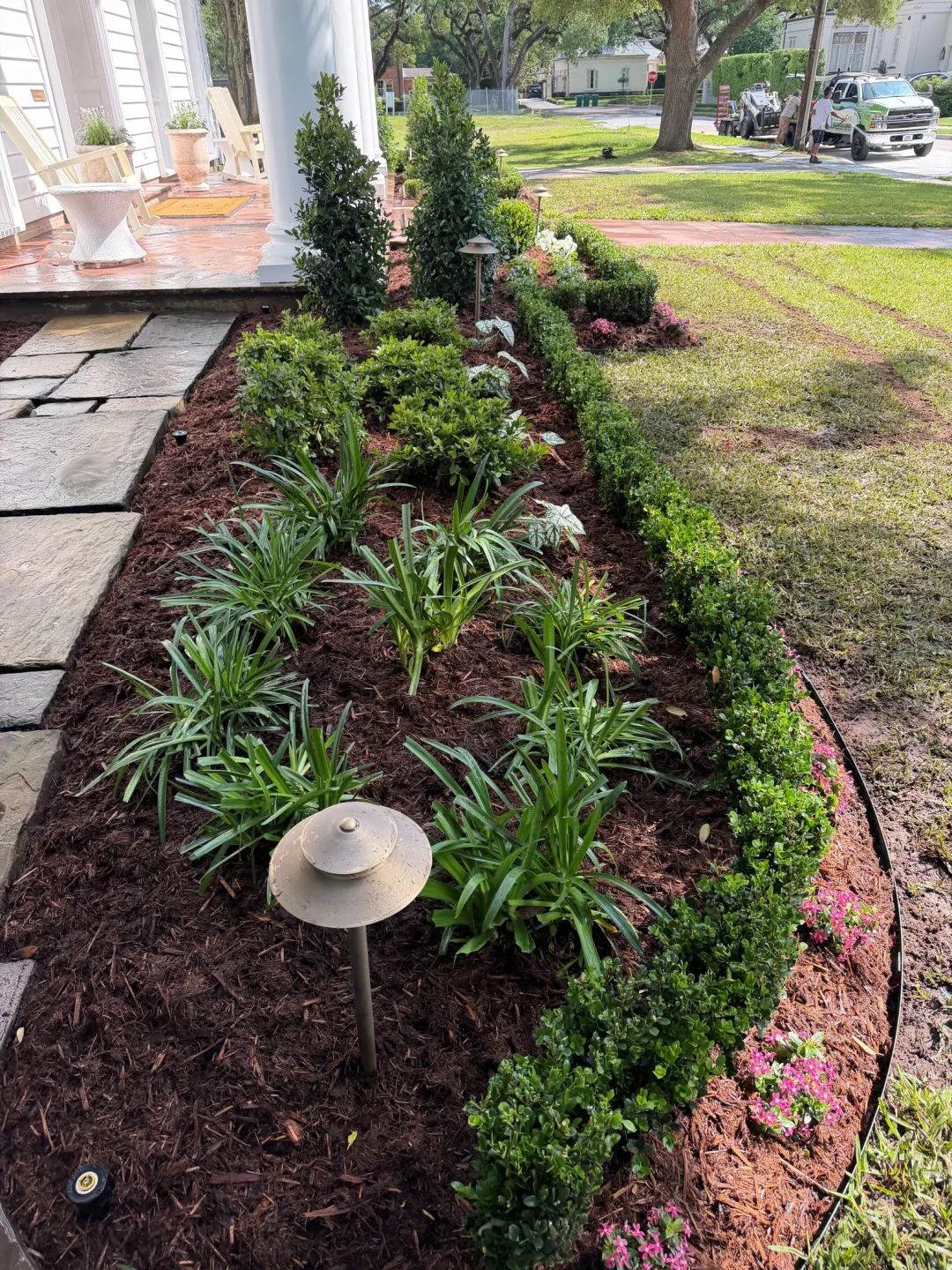Old Metairie  landscape transformation