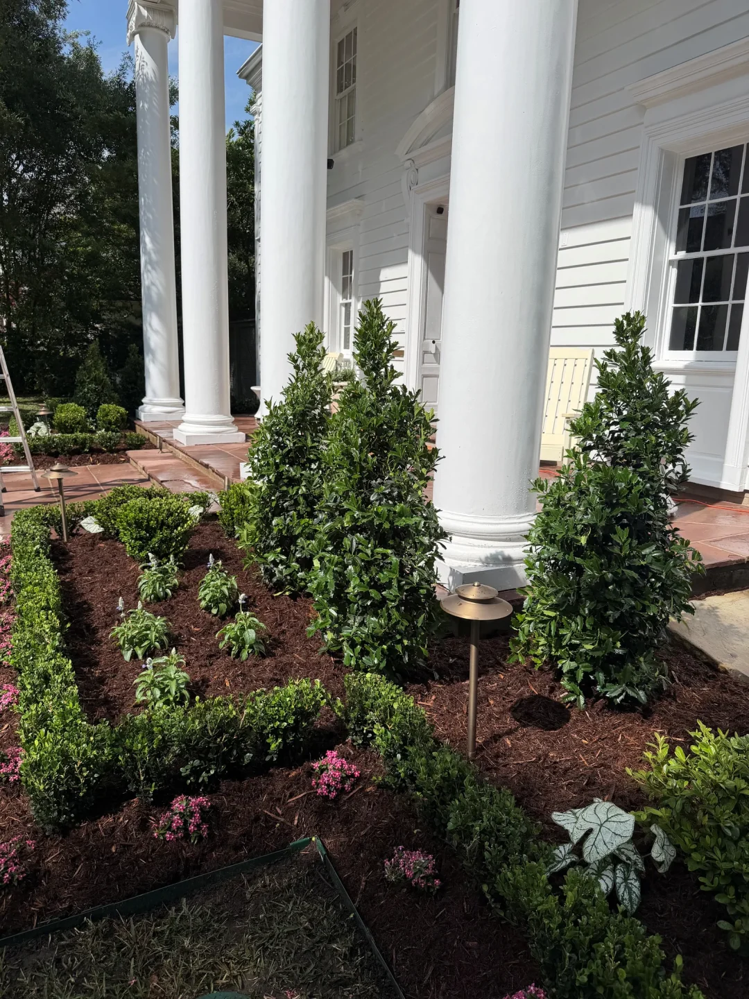 Old Metairie  landscape transformation