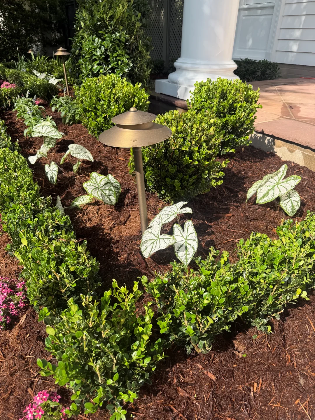 Old Metairie  landscape transformation