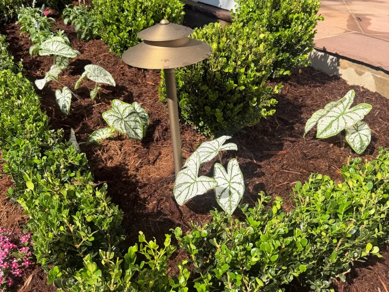 Old Metairie  Landscape Transformation