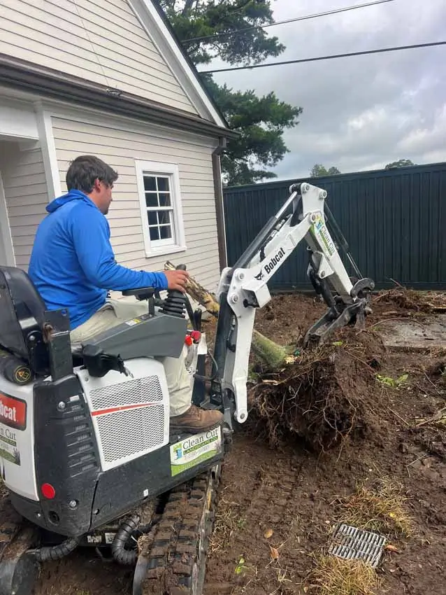 grading and sod installation