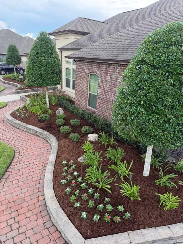 clean cut landscape